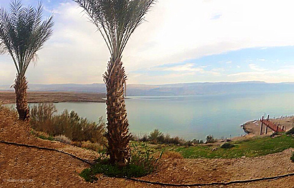 The Dead Sea- Israel