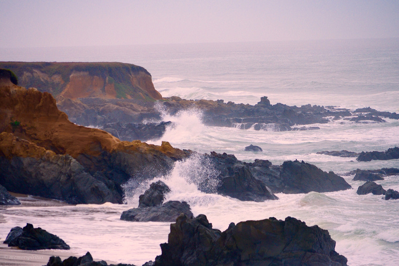 Pescadero Beach