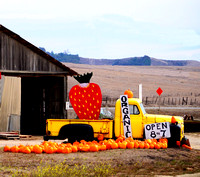 Farm Stand, Central California