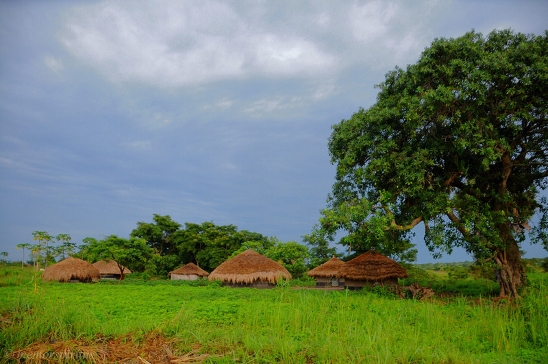 Ugandan Village