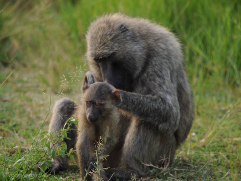 Mother and Child