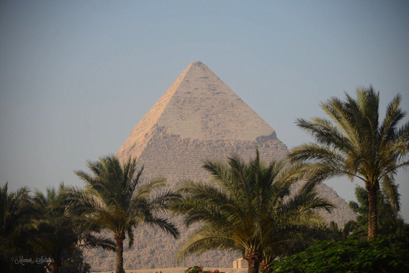 The Great Pyramid Mena House grounds - Cairo