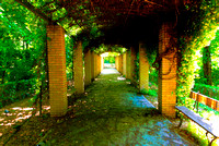 Walkway in the National Garden - Athens