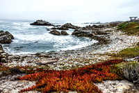 The Sea, Asilomar Beach, Monterey, California