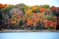 Autumn at Table Rock Lake (Color Pop)