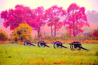 Killing Ground to Farmland - Pea Ridge, Arkansas