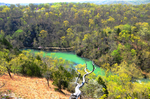 View of the Niangua River