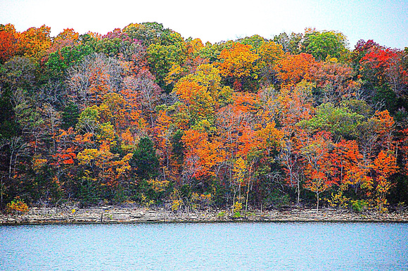 Autumn at Table Rock Lake (Color Pop)